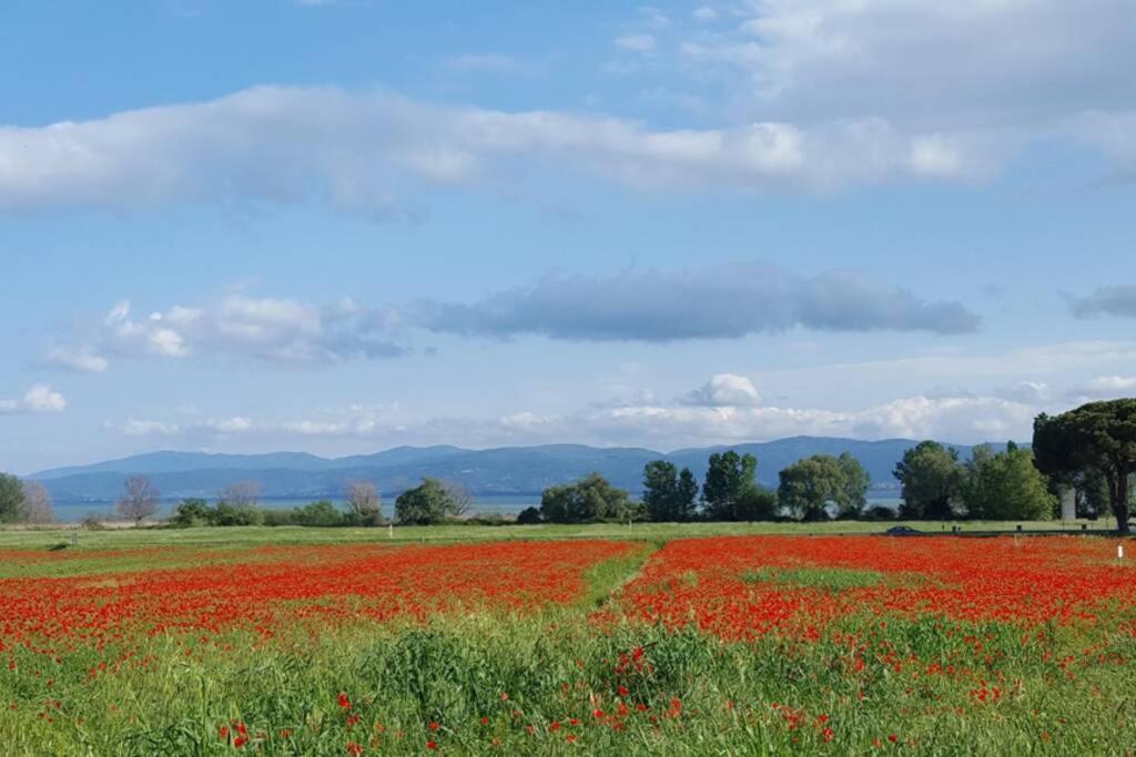 Bellavista La Tua Romantica Vacanza Sul Trasimeno Lejlighed Castiglione del Lago Eksteriør billede