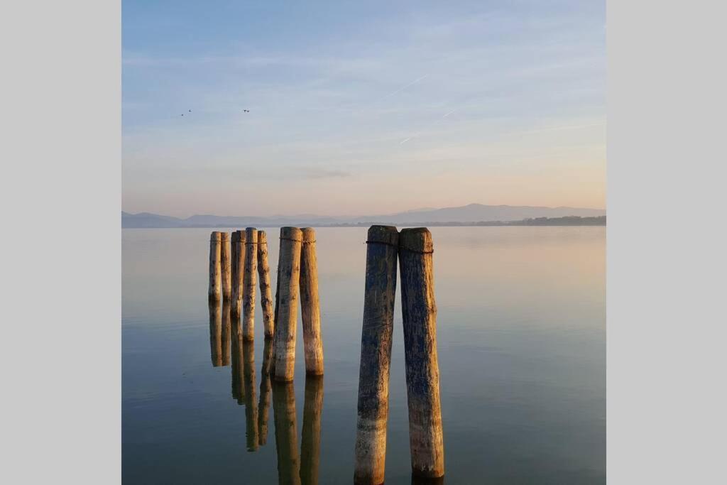 Bellavista La Tua Romantica Vacanza Sul Trasimeno Lejlighed Castiglione del Lago Eksteriør billede