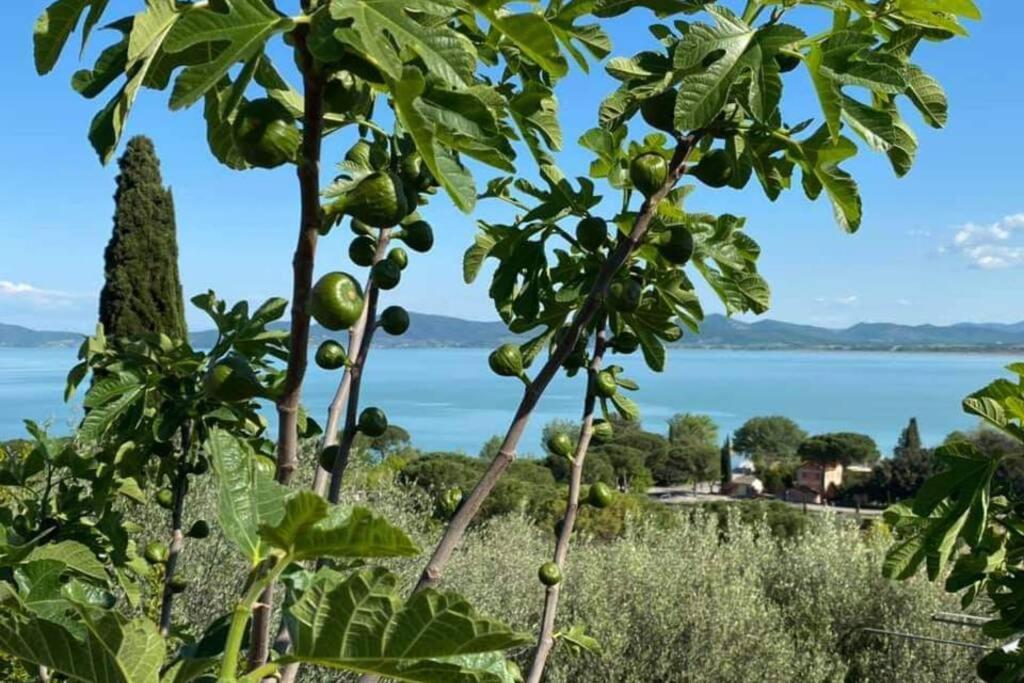 Bellavista La Tua Romantica Vacanza Sul Trasimeno Lejlighed Castiglione del Lago Eksteriør billede