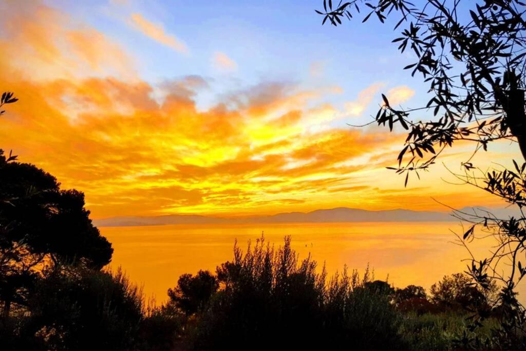 Bellavista La Tua Romantica Vacanza Sul Trasimeno Lejlighed Castiglione del Lago Eksteriør billede