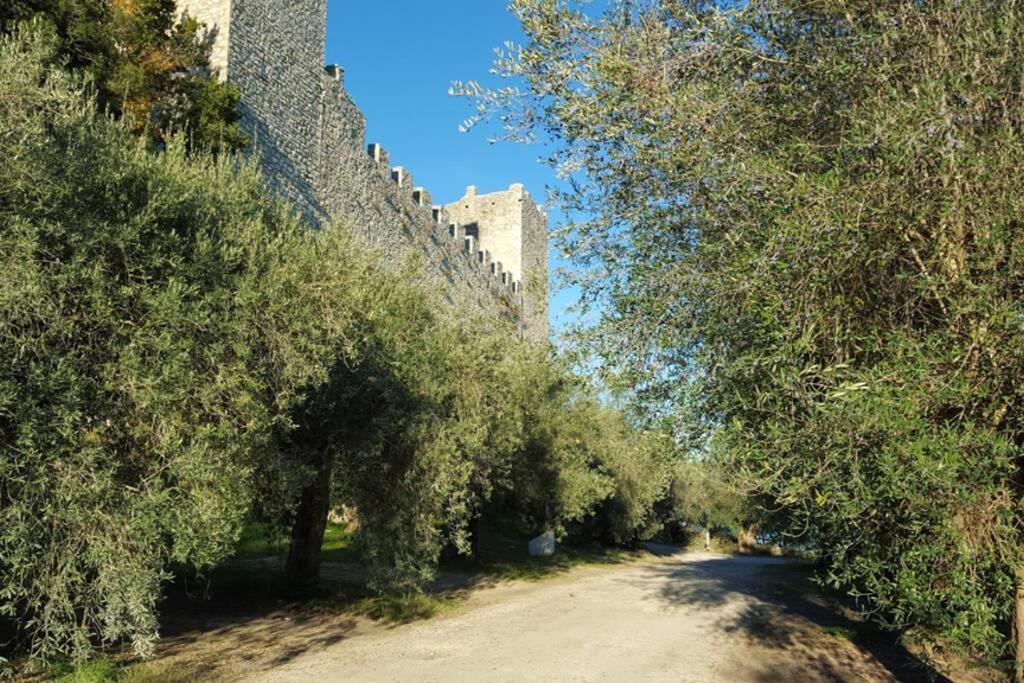 Bellavista La Tua Romantica Vacanza Sul Trasimeno Castiglione del Lago Eksteriør billede