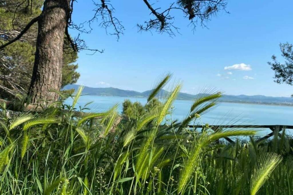 Bellavista La Tua Romantica Vacanza Sul Trasimeno Lejlighed Castiglione del Lago Eksteriør billede