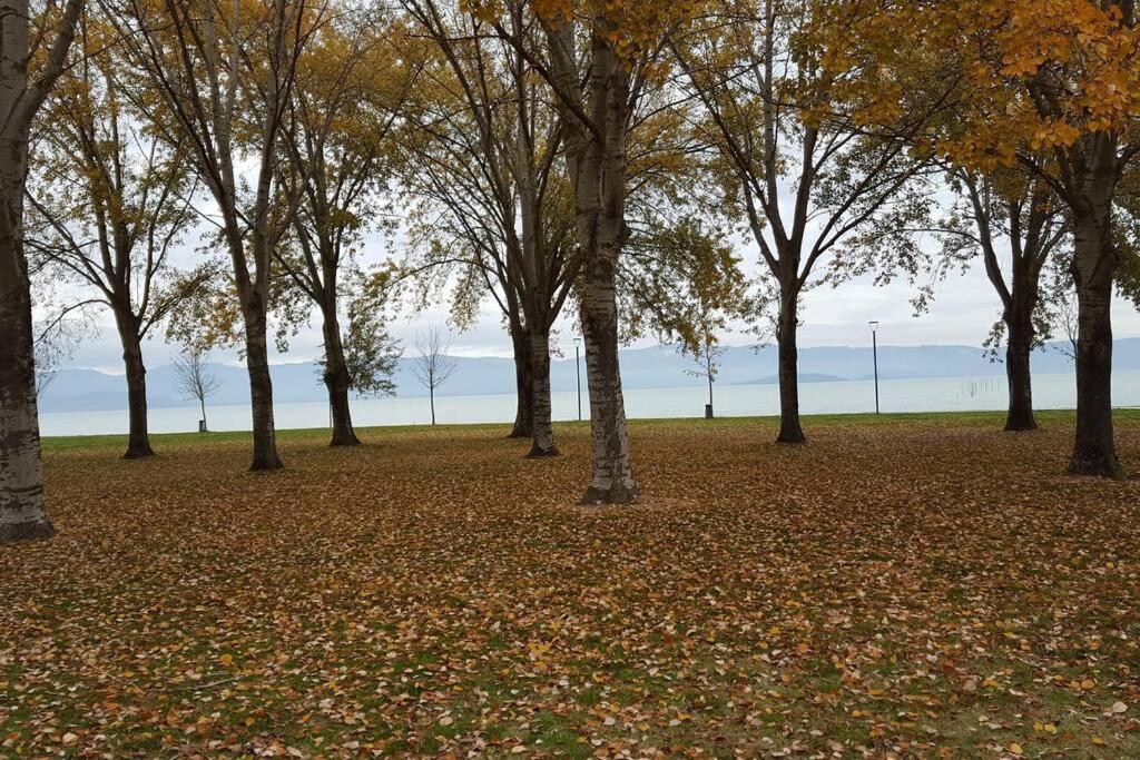 Bellavista La Tua Romantica Vacanza Sul Trasimeno Castiglione del Lago Eksteriør billede