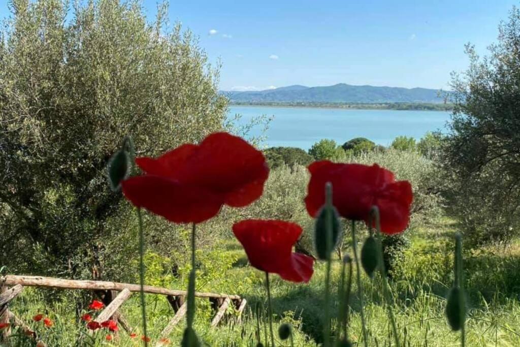 Bellavista La Tua Romantica Vacanza Sul Trasimeno Lejlighed Castiglione del Lago Eksteriør billede