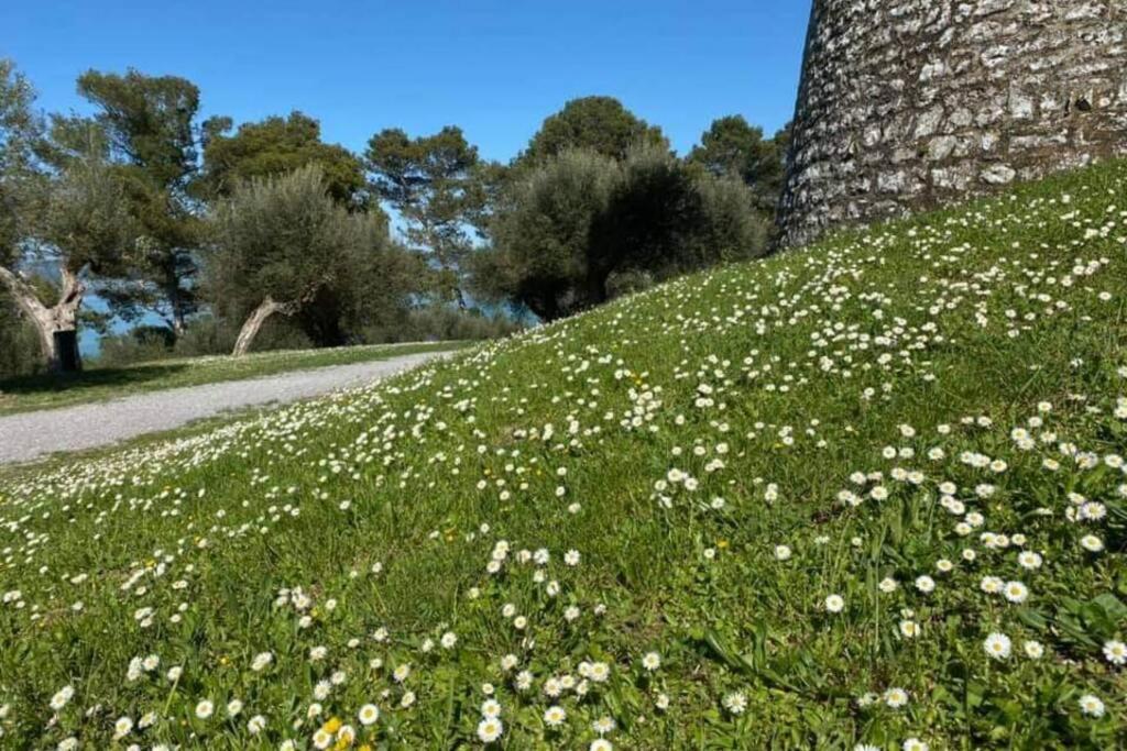 Bellavista La Tua Romantica Vacanza Sul Trasimeno Lejlighed Castiglione del Lago Eksteriør billede