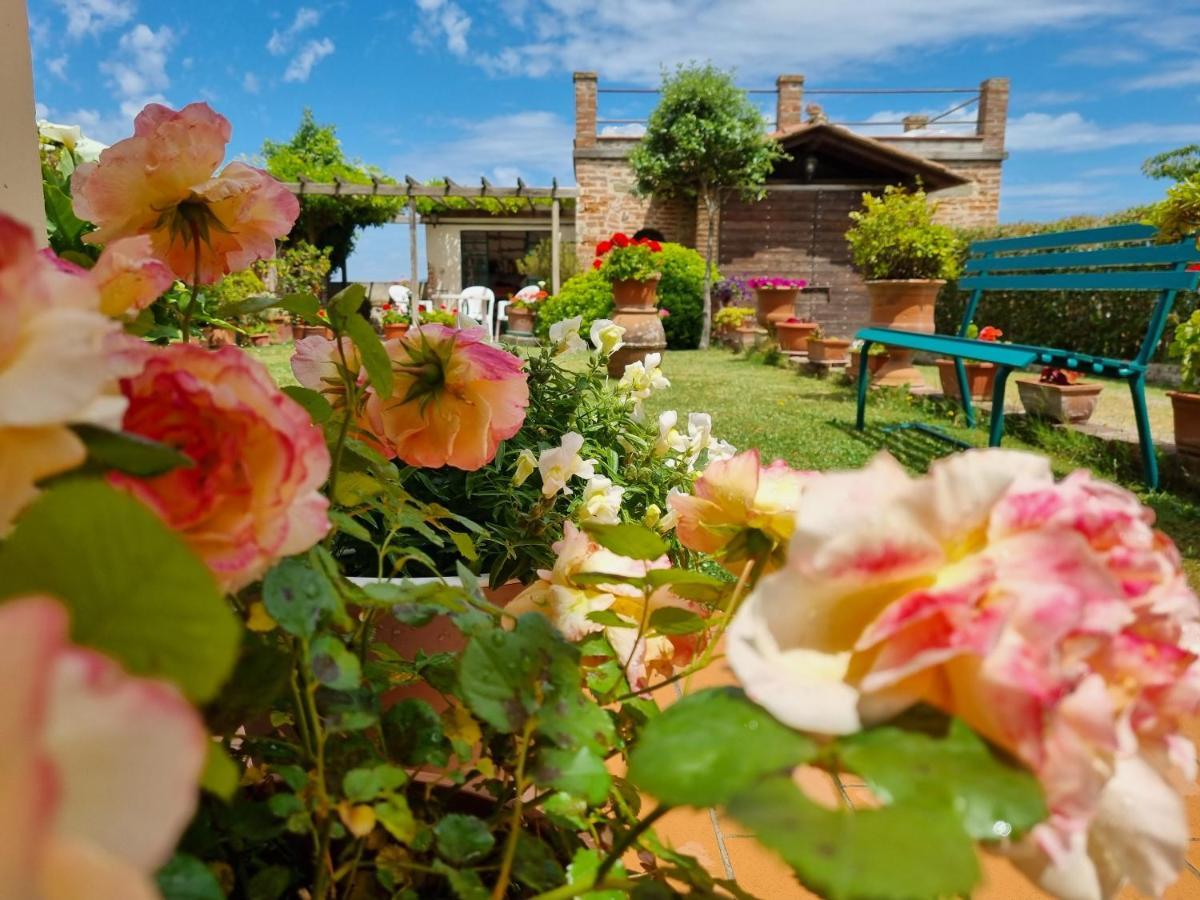 Bellavista La Tua Romantica Vacanza Sul Trasimeno Lejlighed Castiglione del Lago Eksteriør billede