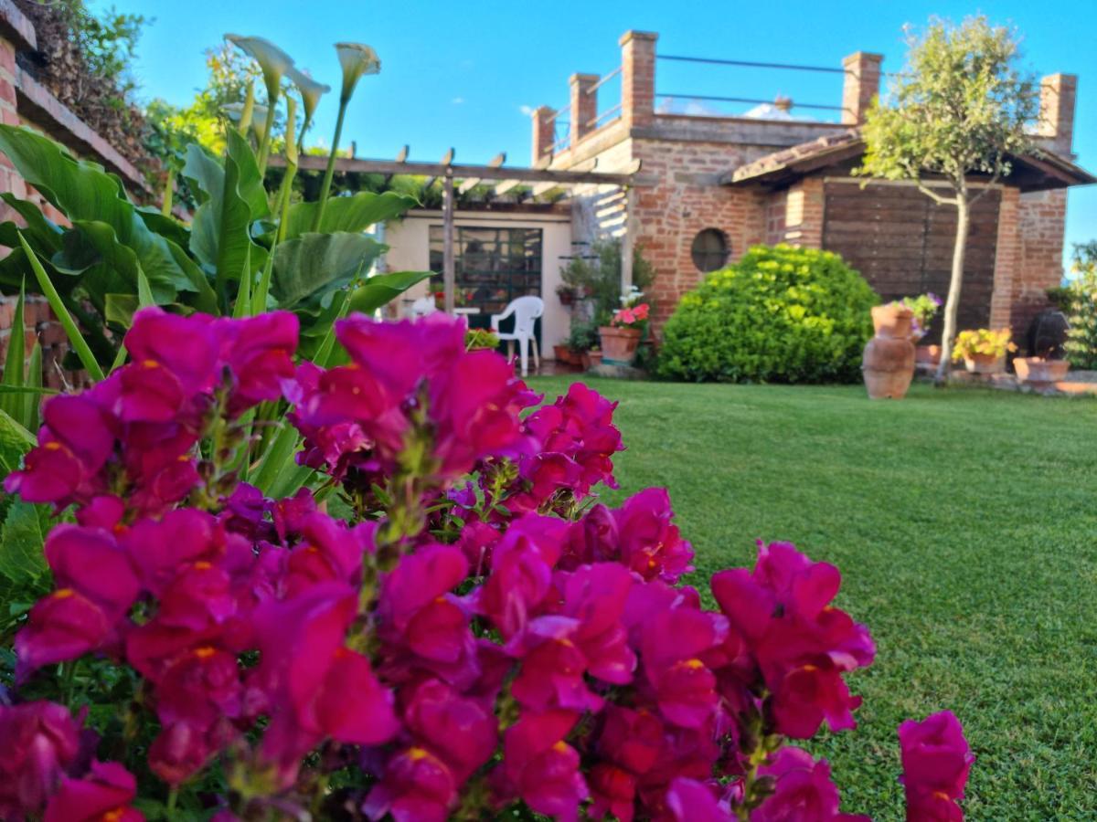 Bellavista La Tua Romantica Vacanza Sul Trasimeno Lejlighed Castiglione del Lago Eksteriør billede